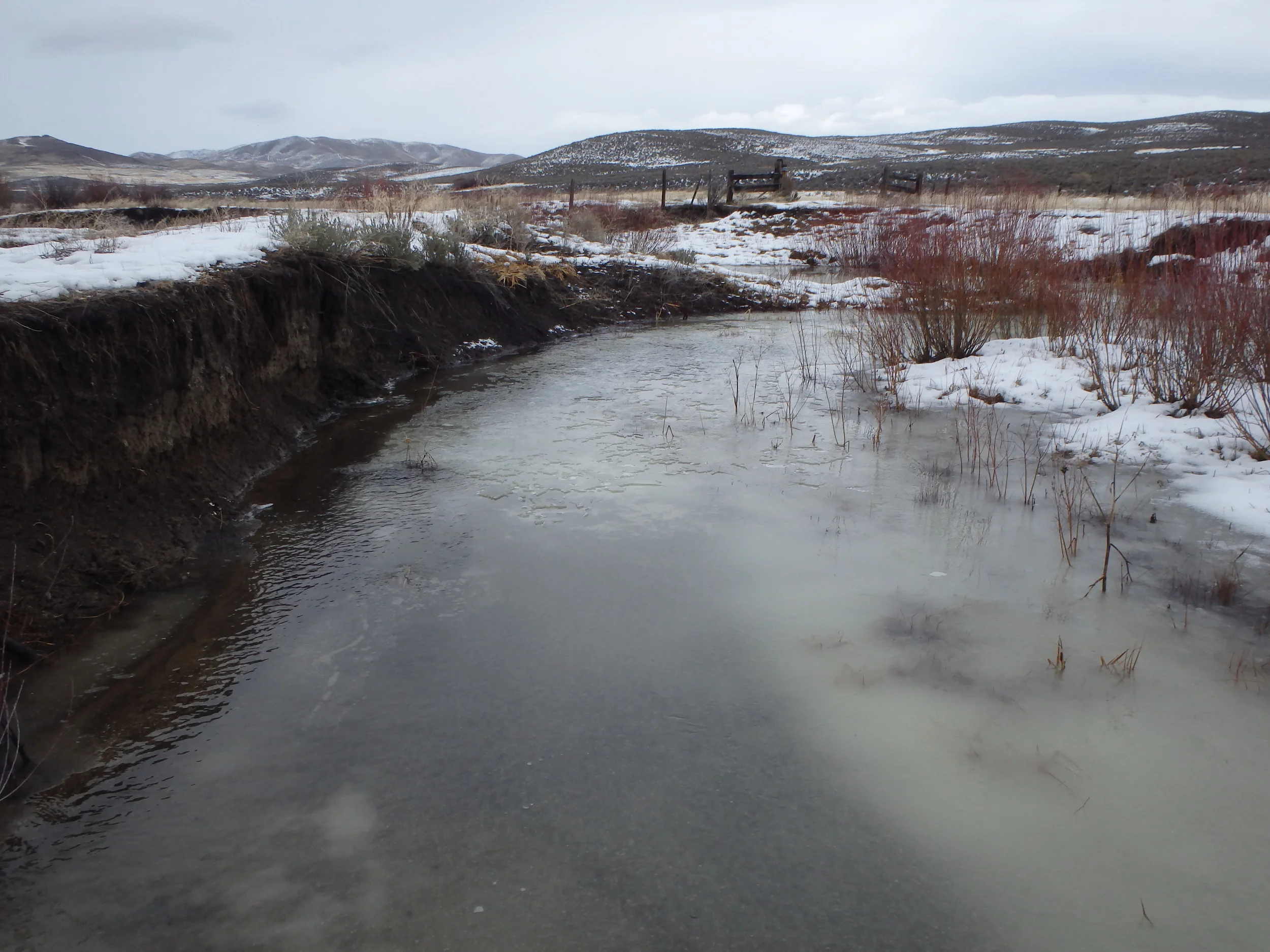 Eroding banks that are addressed in the concept plan