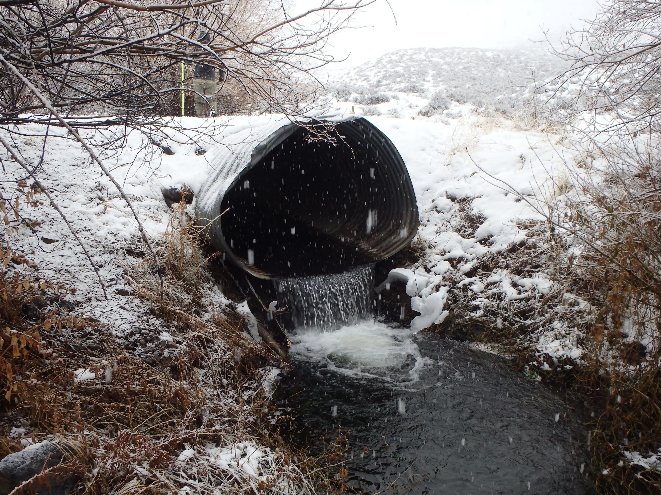 One of the barriers to fish passage that is addressed in the concept plan