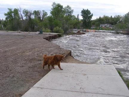 June 2010 flooding