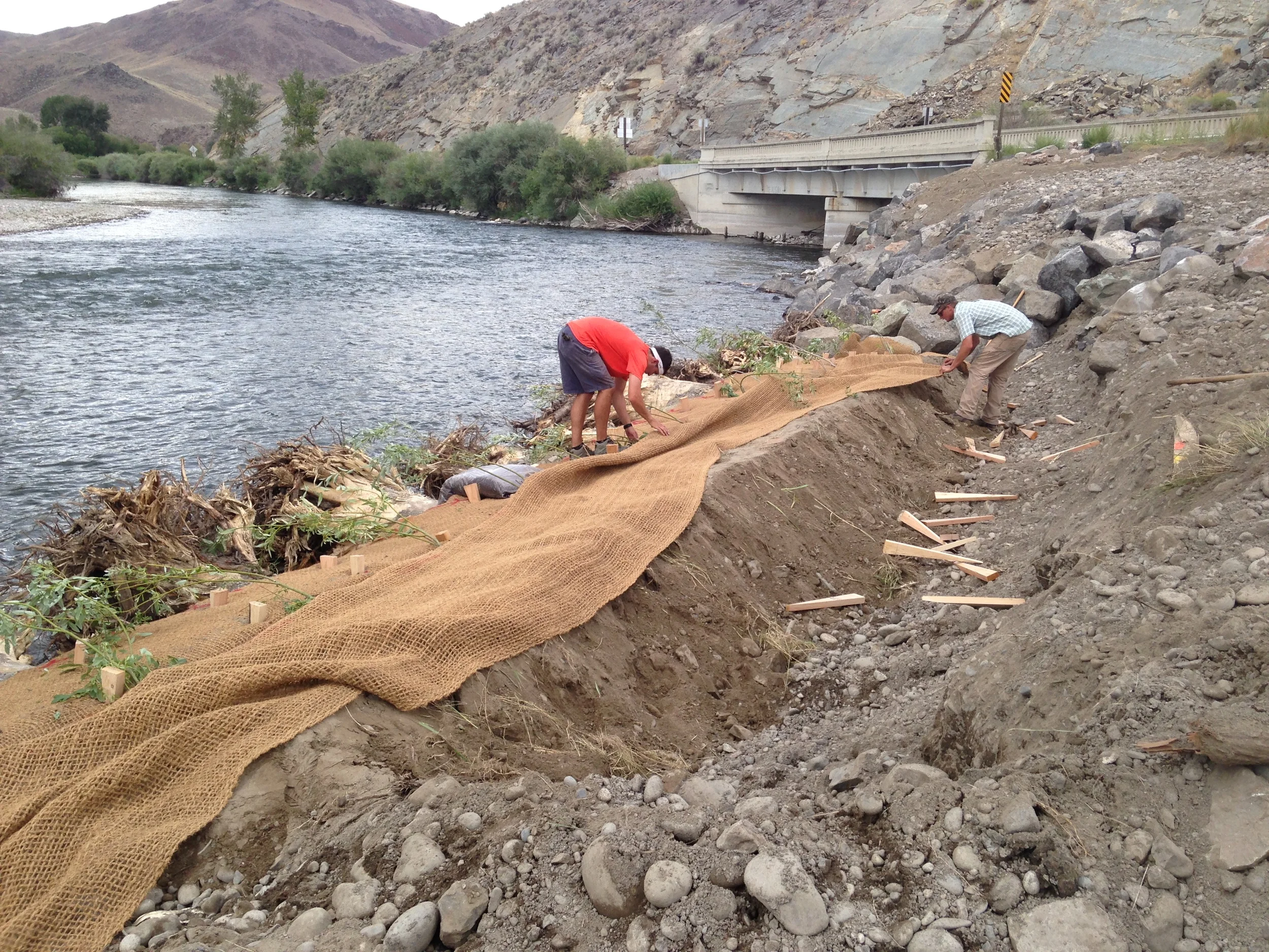 During construction - downstream - installing erosion control fabric between layers of plantings