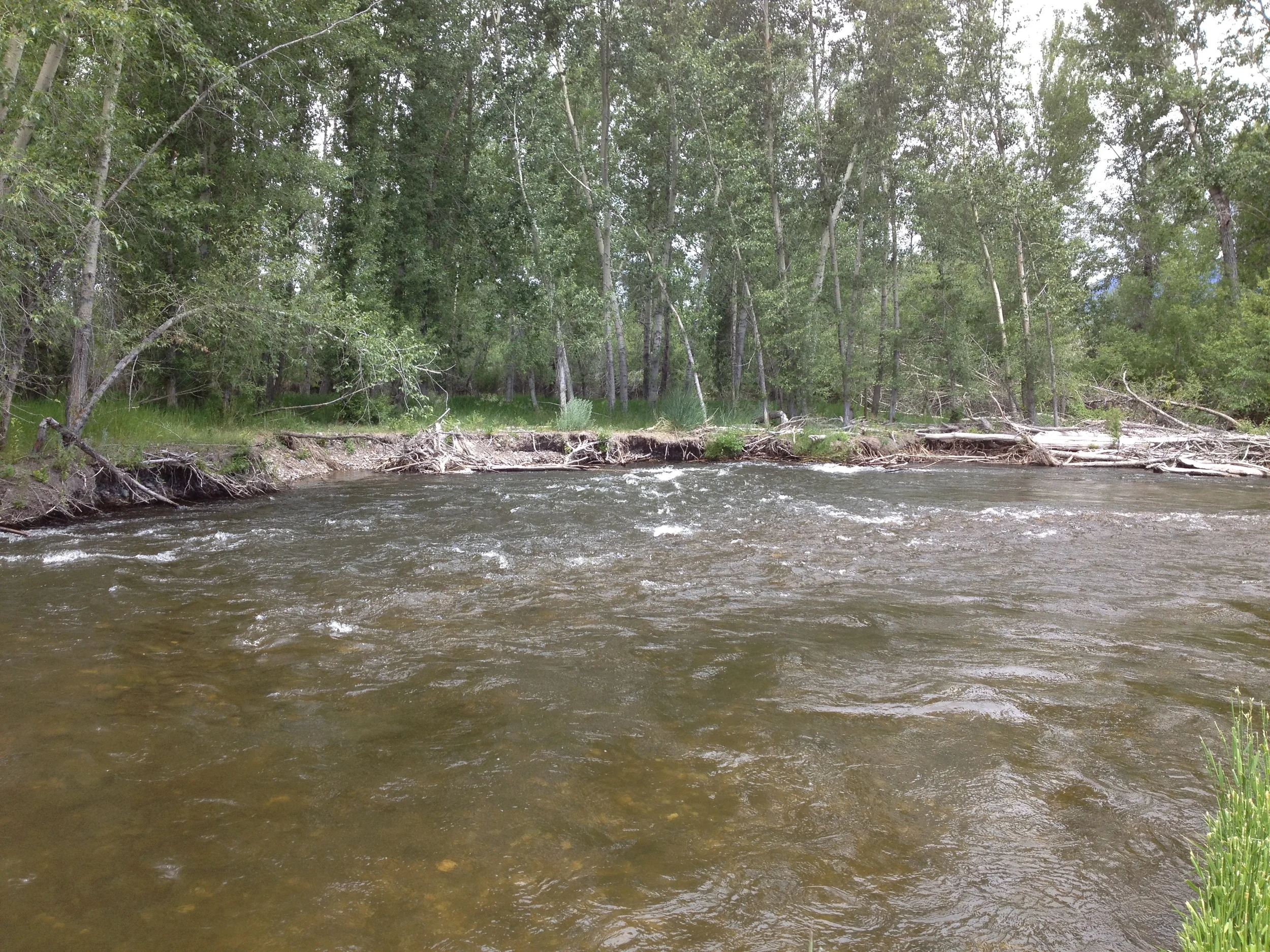 Before - the river flow was directly into the bank, causing rapid erosion