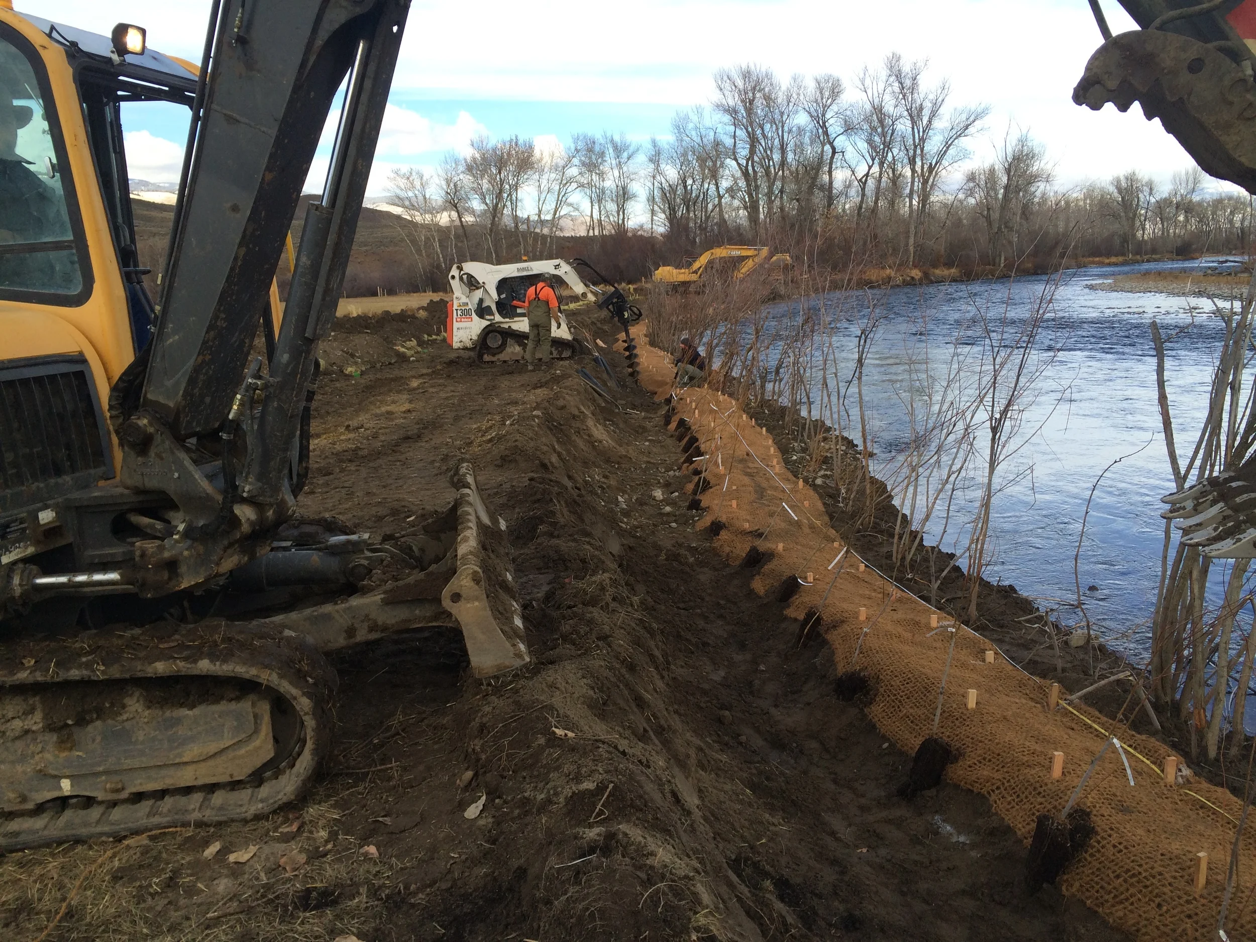 During construction - transplanted willows are installed at the toe of the slope, the first soil lift is installed, and the first row of containerized willows has been placed by the volunteers