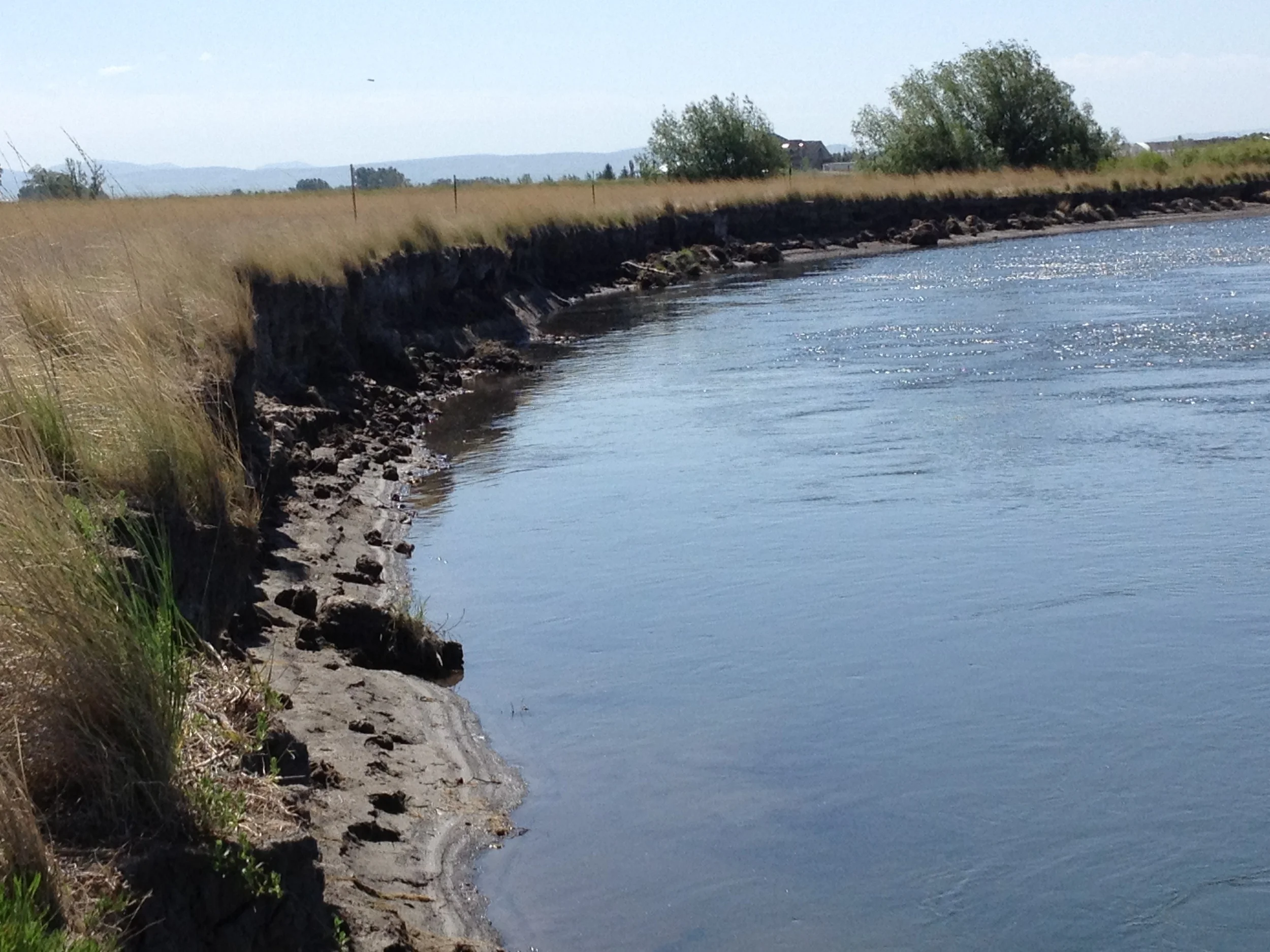 Before - bank is eroding and unstable