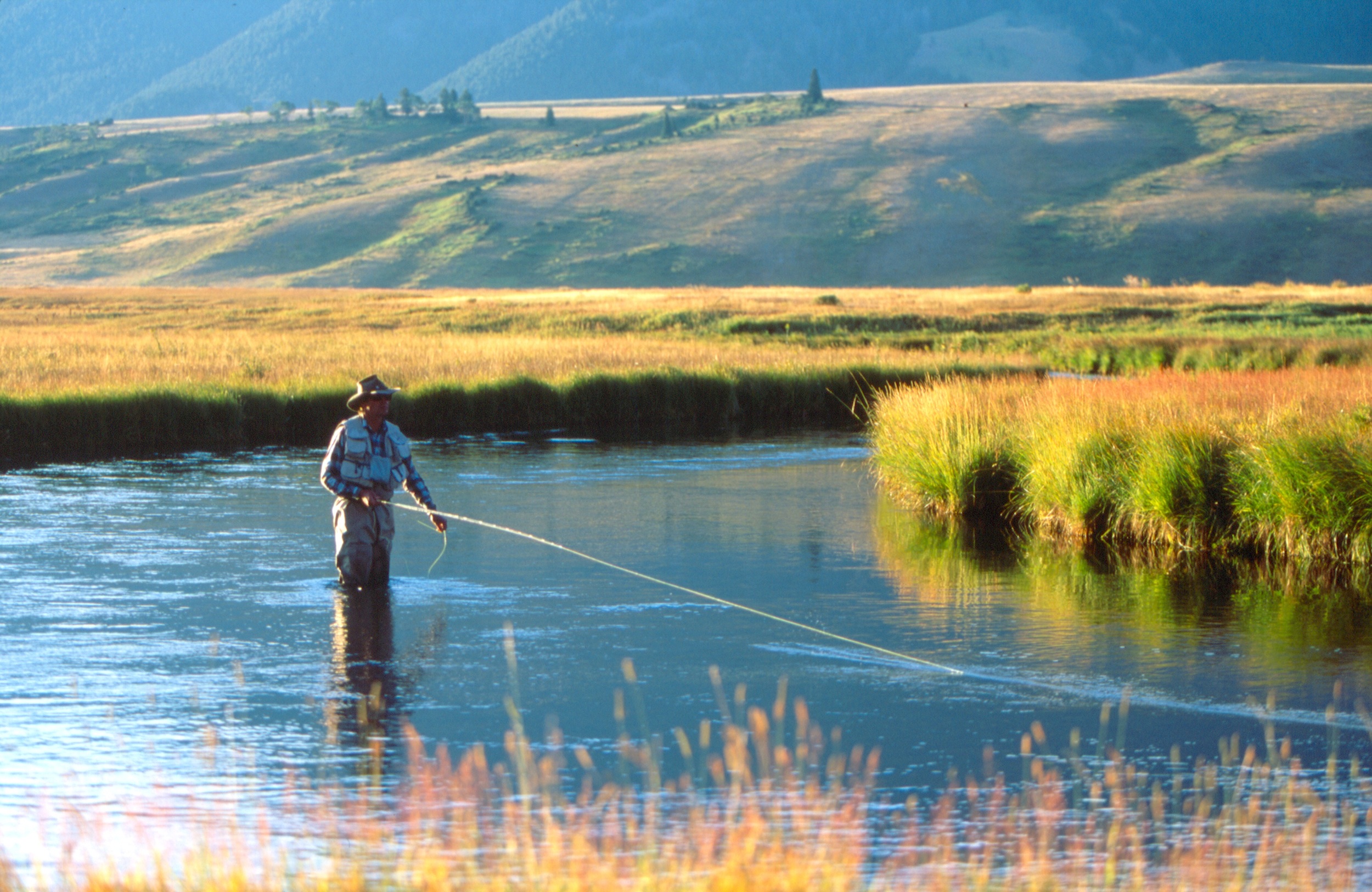 man flyfishing on restored habitat