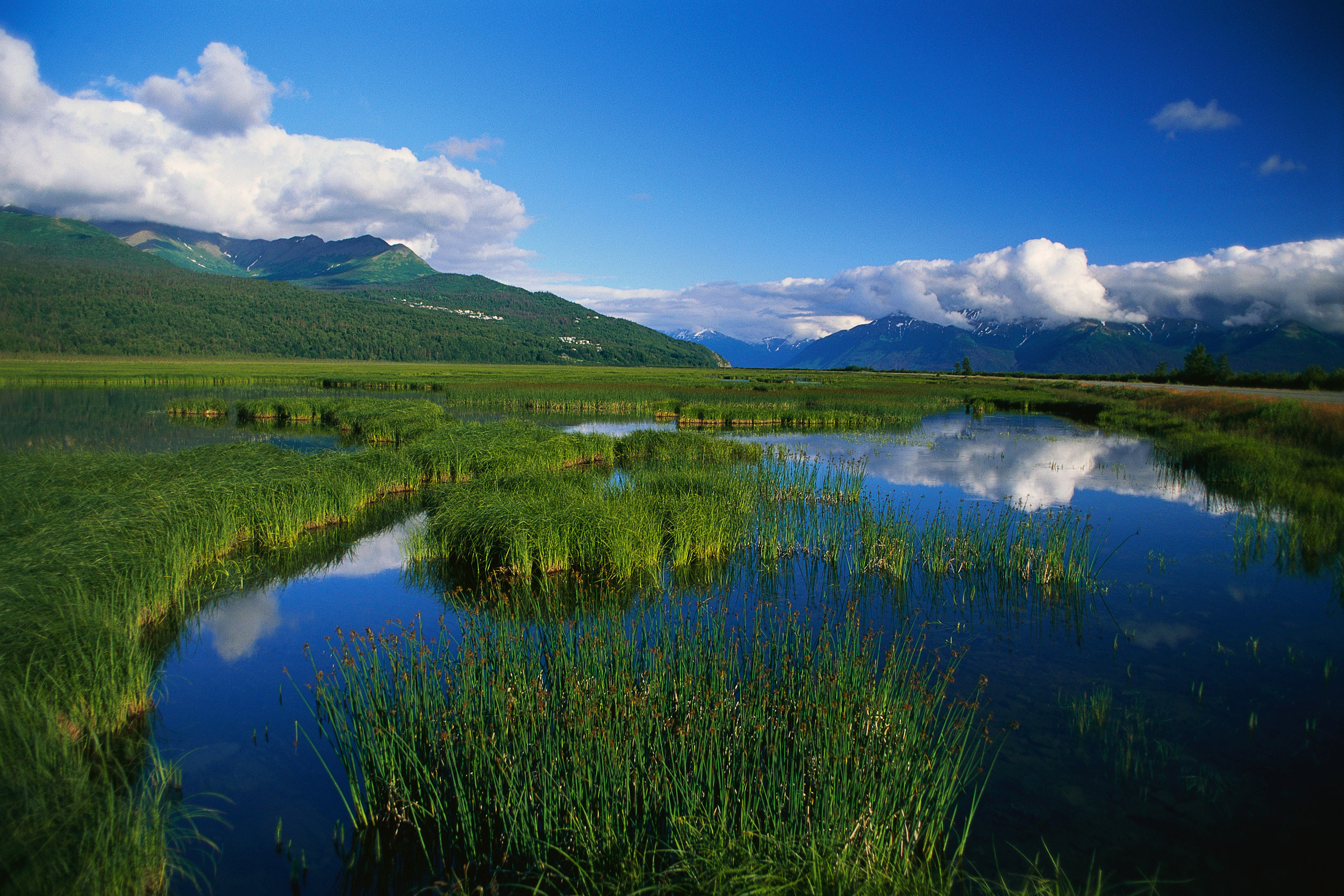 environmental consulting mountain stream