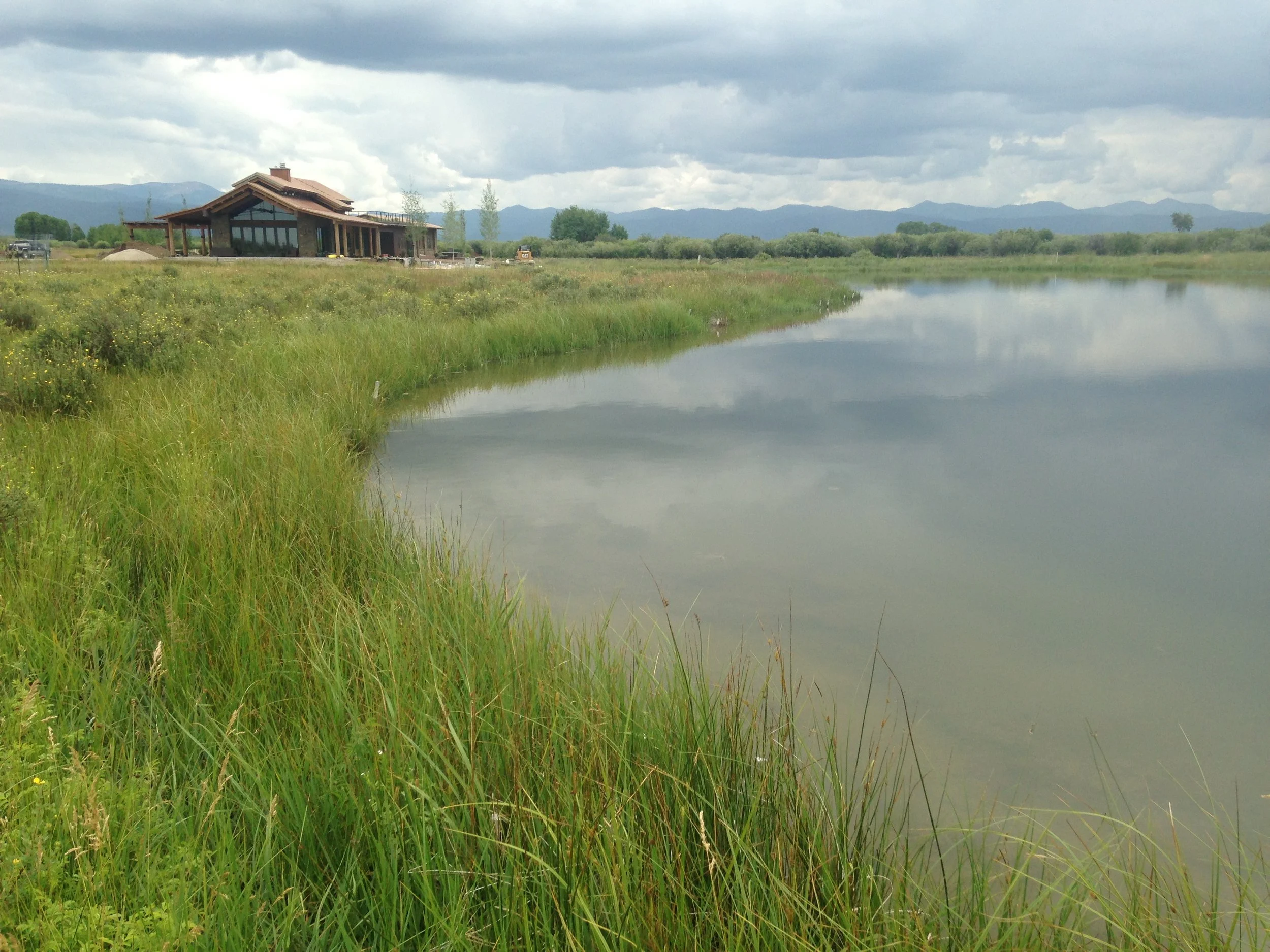 Completed pond with established vegetation for wildlife habitat restoration