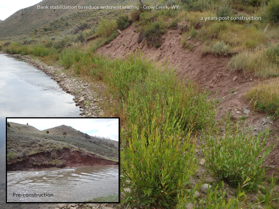 environmental consulting streambank restoration before and after