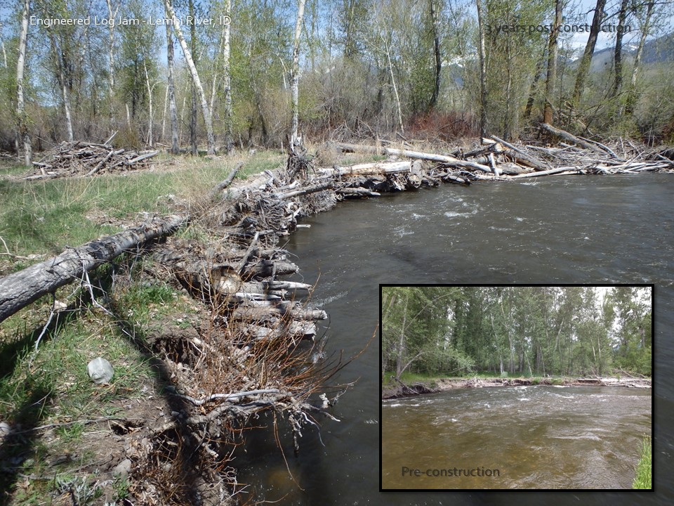 lemhi river environmental consulting &amp; streambank restoration