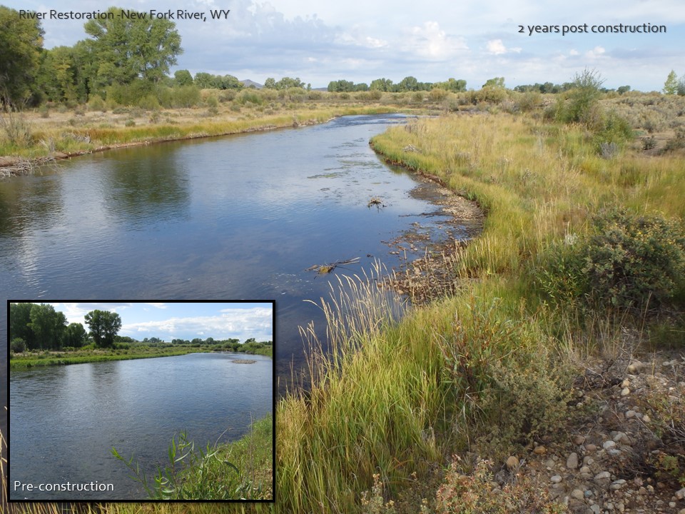 new fork river restoration