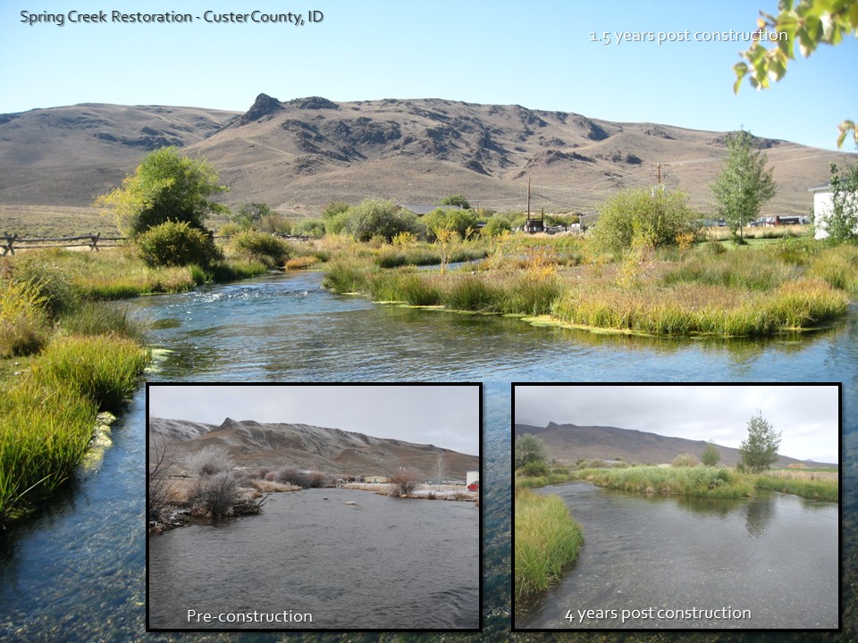 spring creek restoration before and after