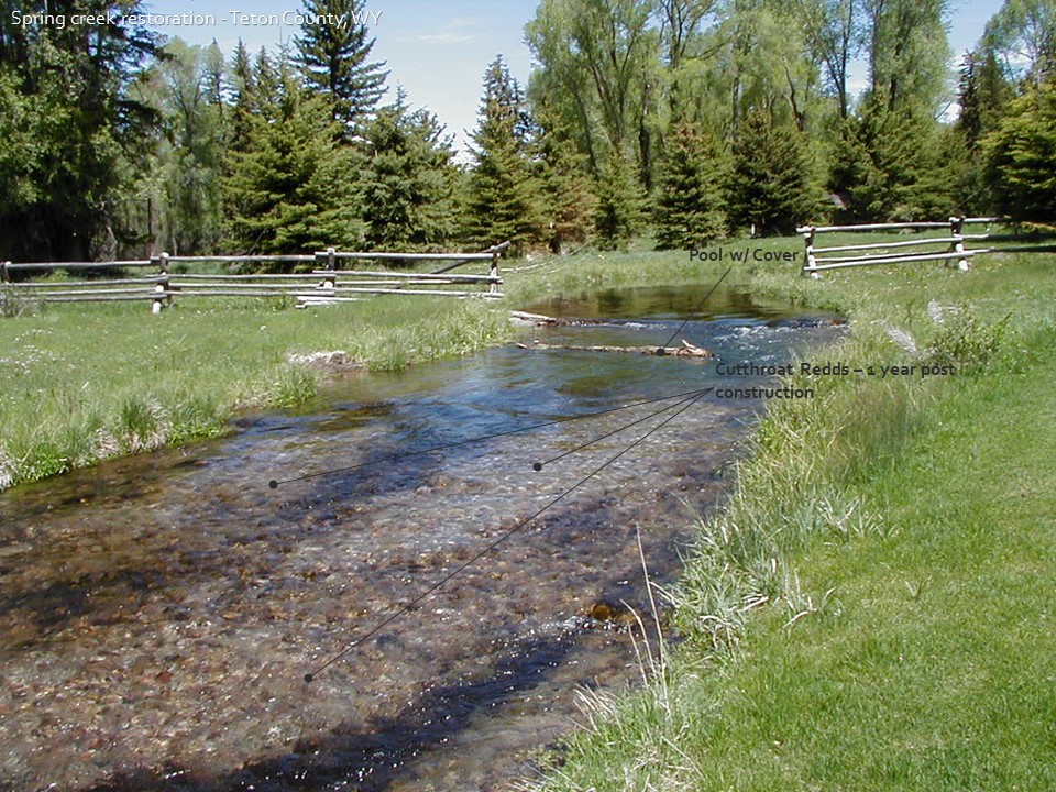 trout stream restoration