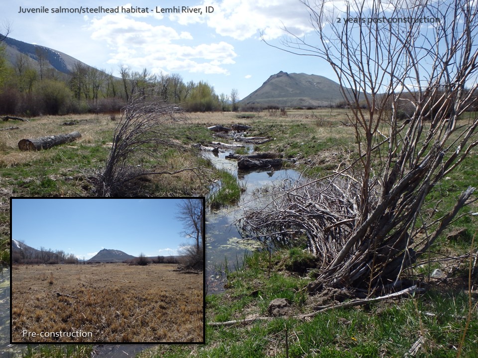 juvenile salmon steelhead habitat restoration