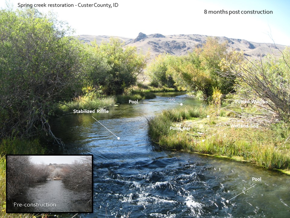 spring creek restoration custer county idaho