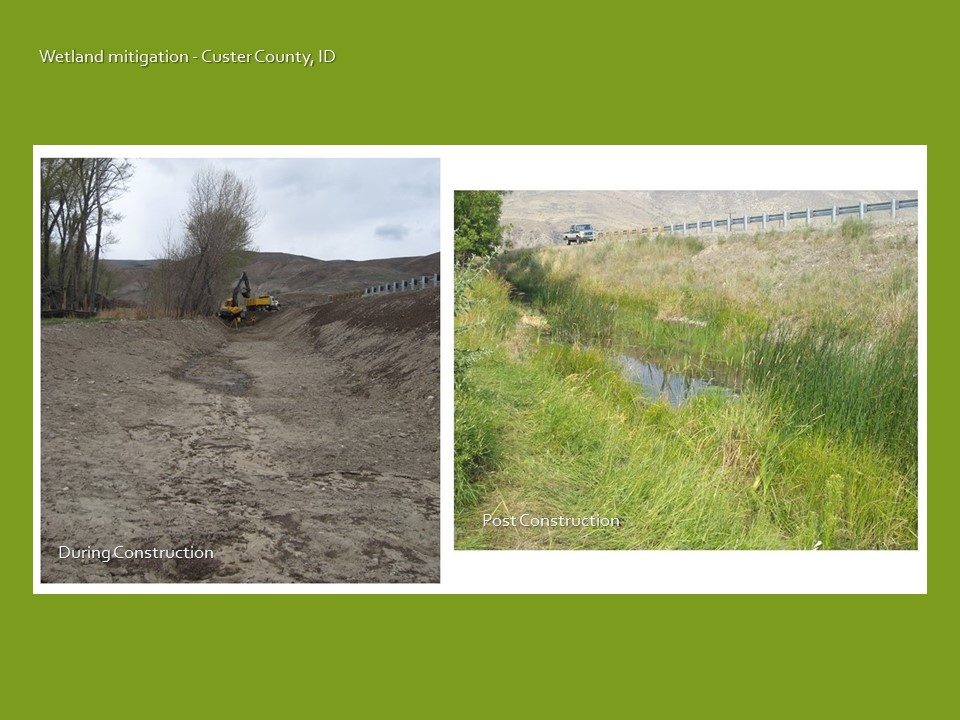 wetland mitigation before and after