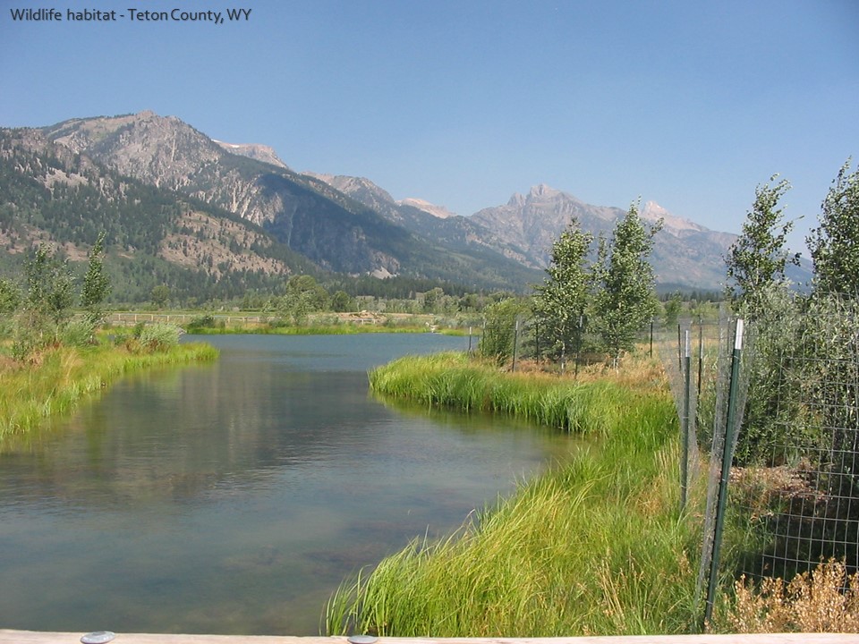 habitat restoration jackson wyoming