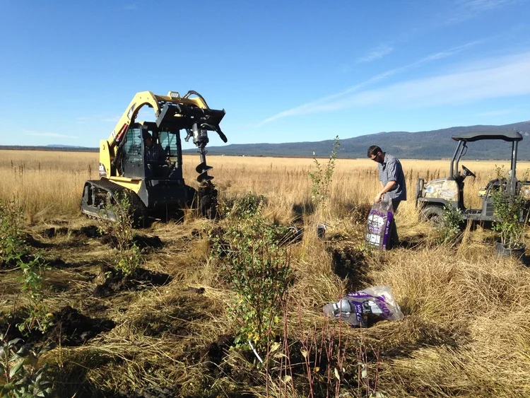 wildlife habitat restoration on Jesse Creek