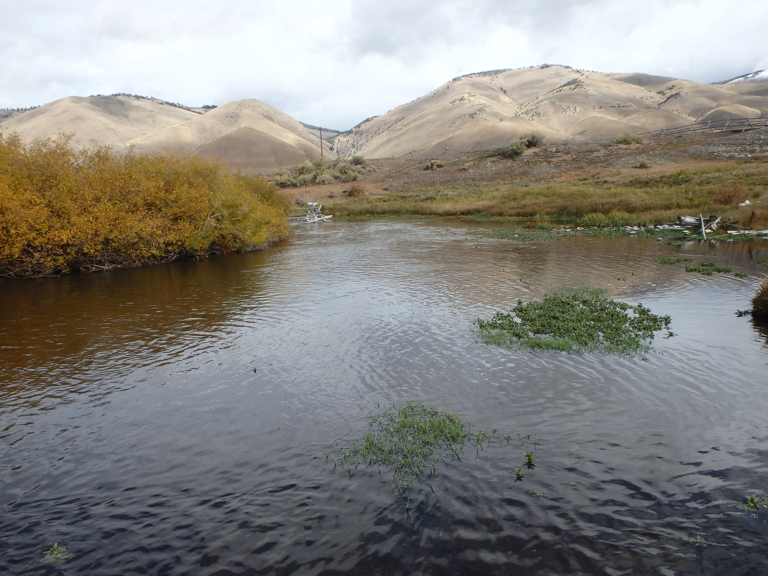 Lemhi River Salmon Habitat Restoration — Intermountain Aquatics