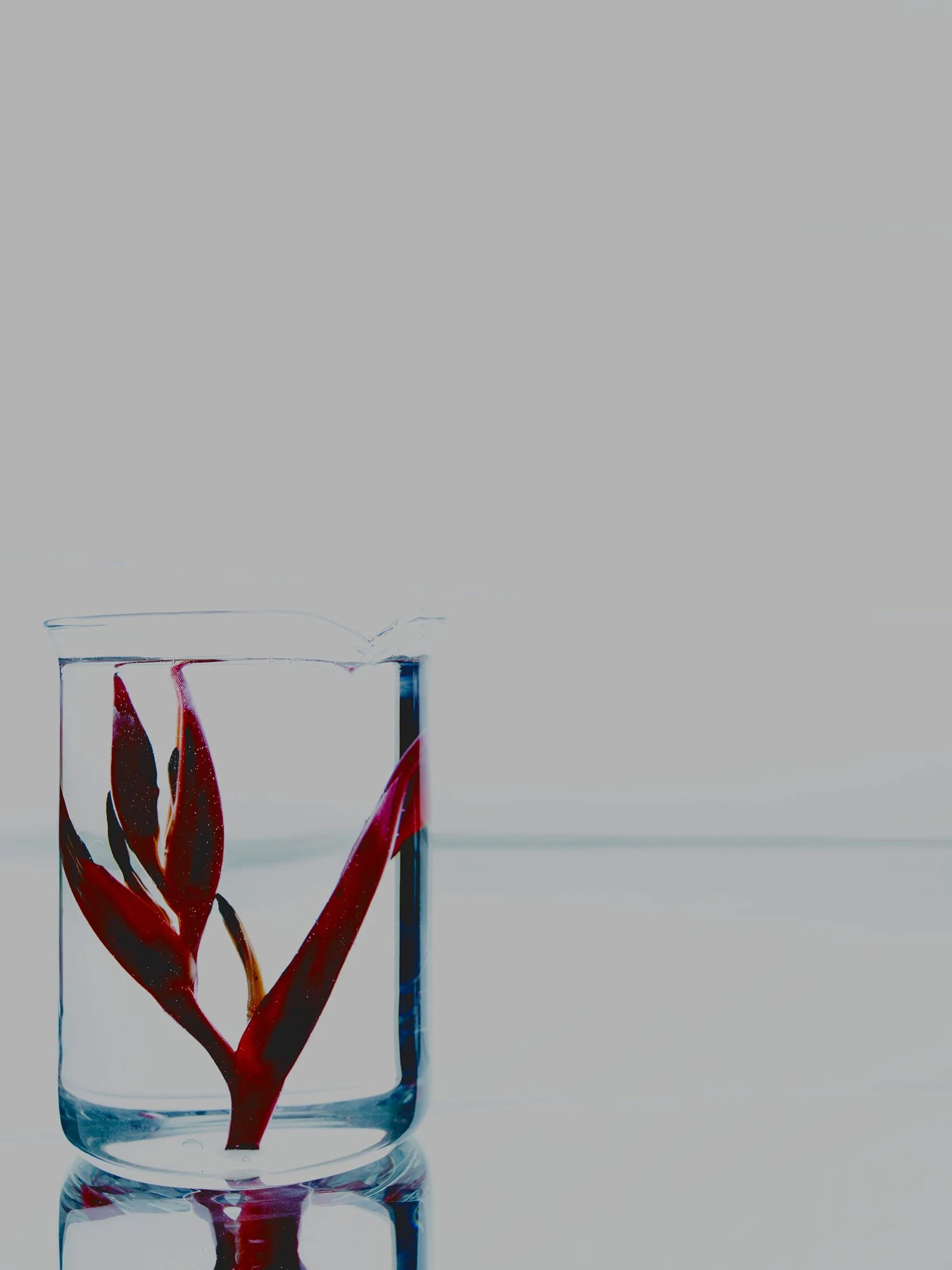 20160216_Shot-02.jpg