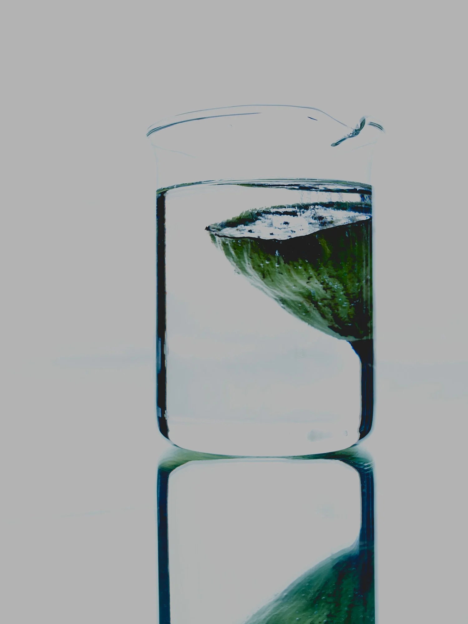 20160216_Shot-10.jpg