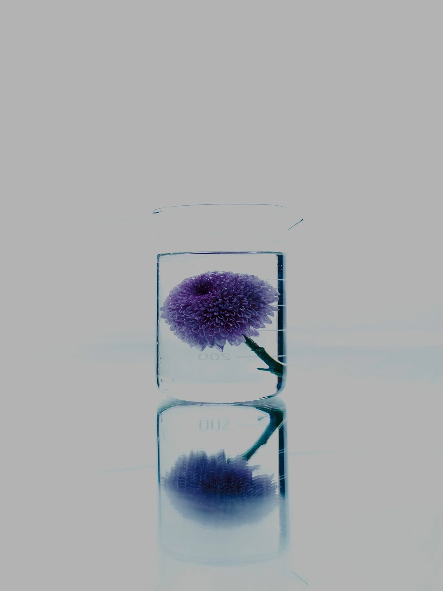 20160216_Shot-11.jpg