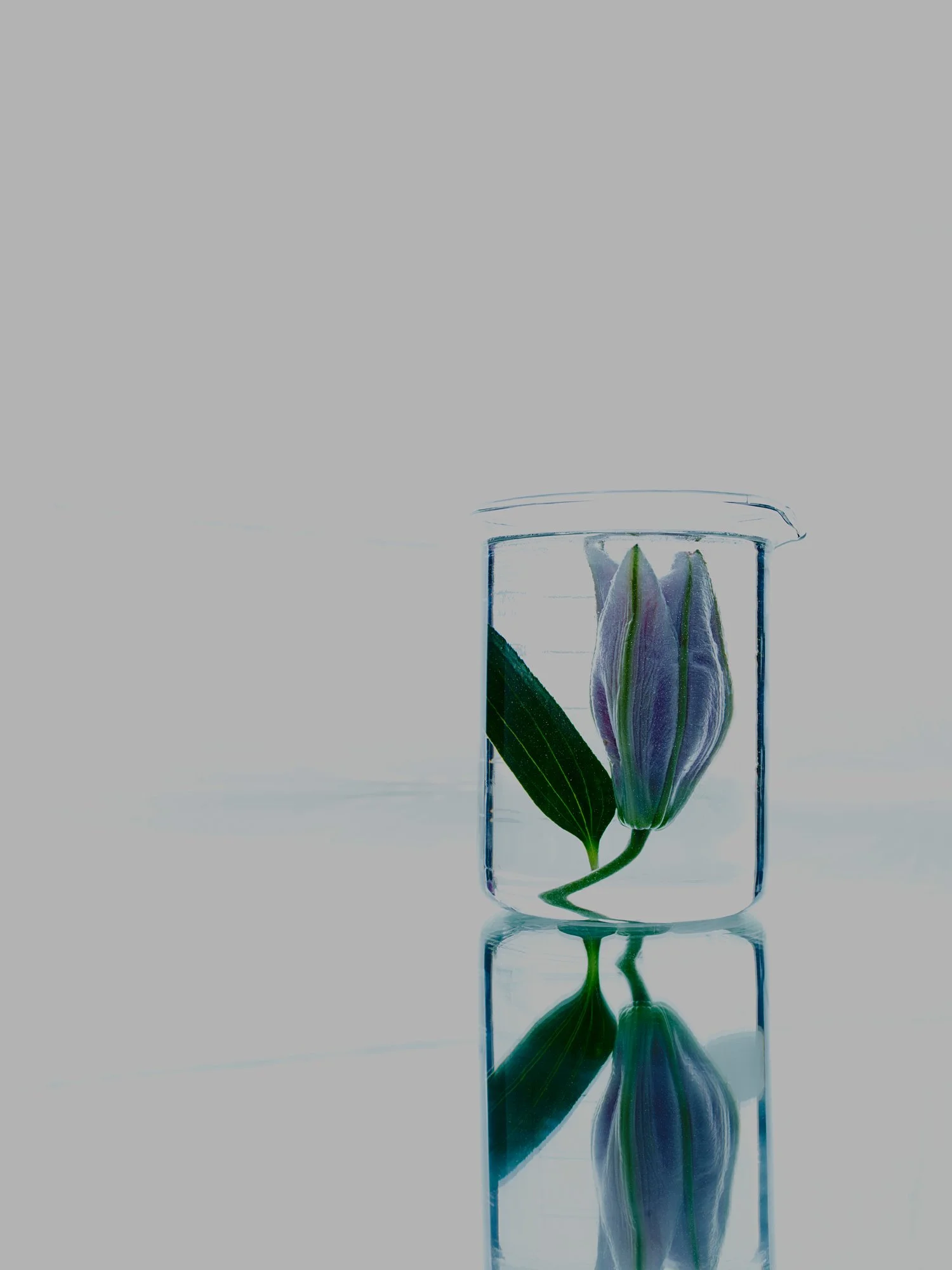 20160216_Shot-12.jpg