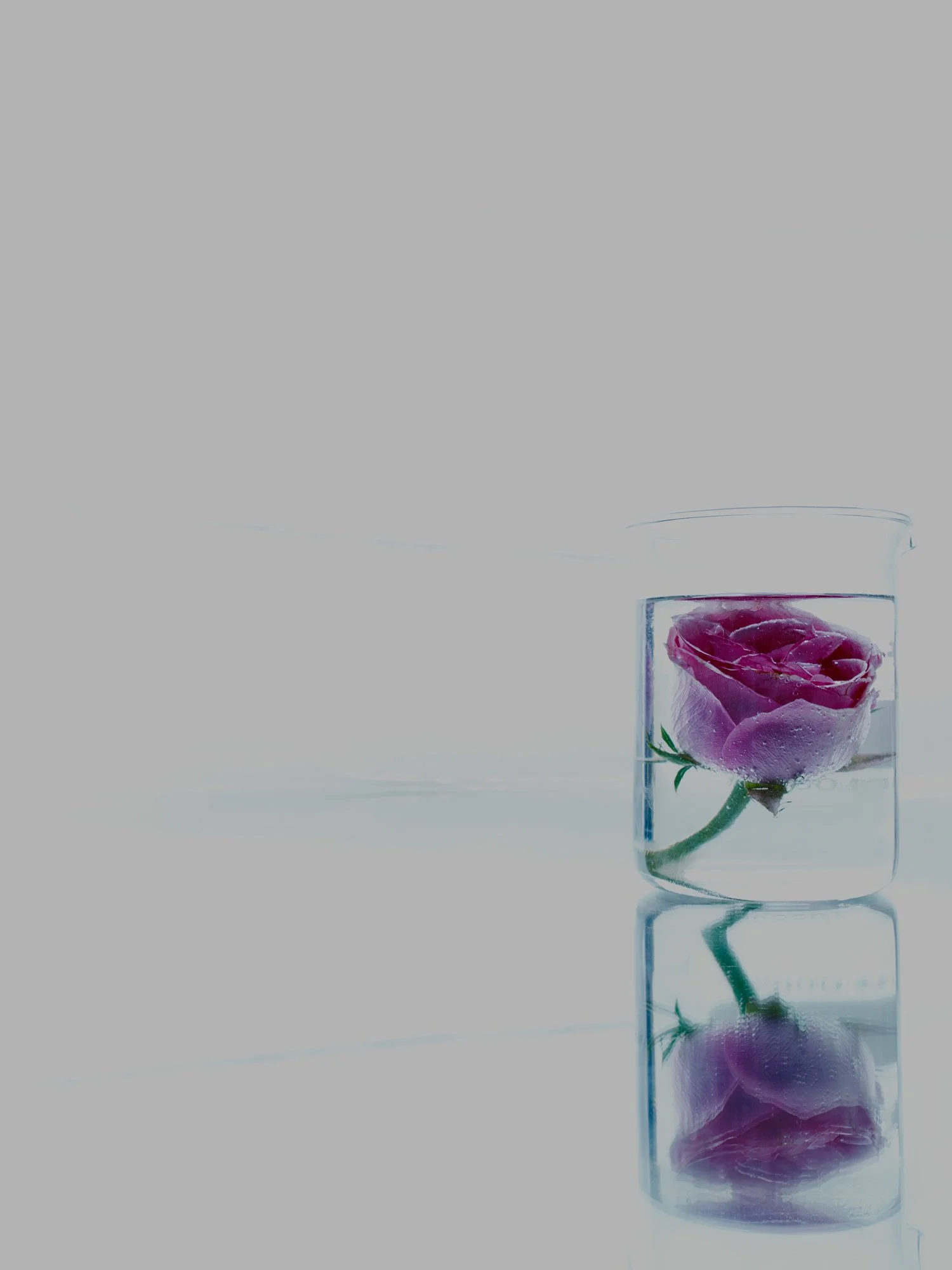 20160216_Shot-13.jpg