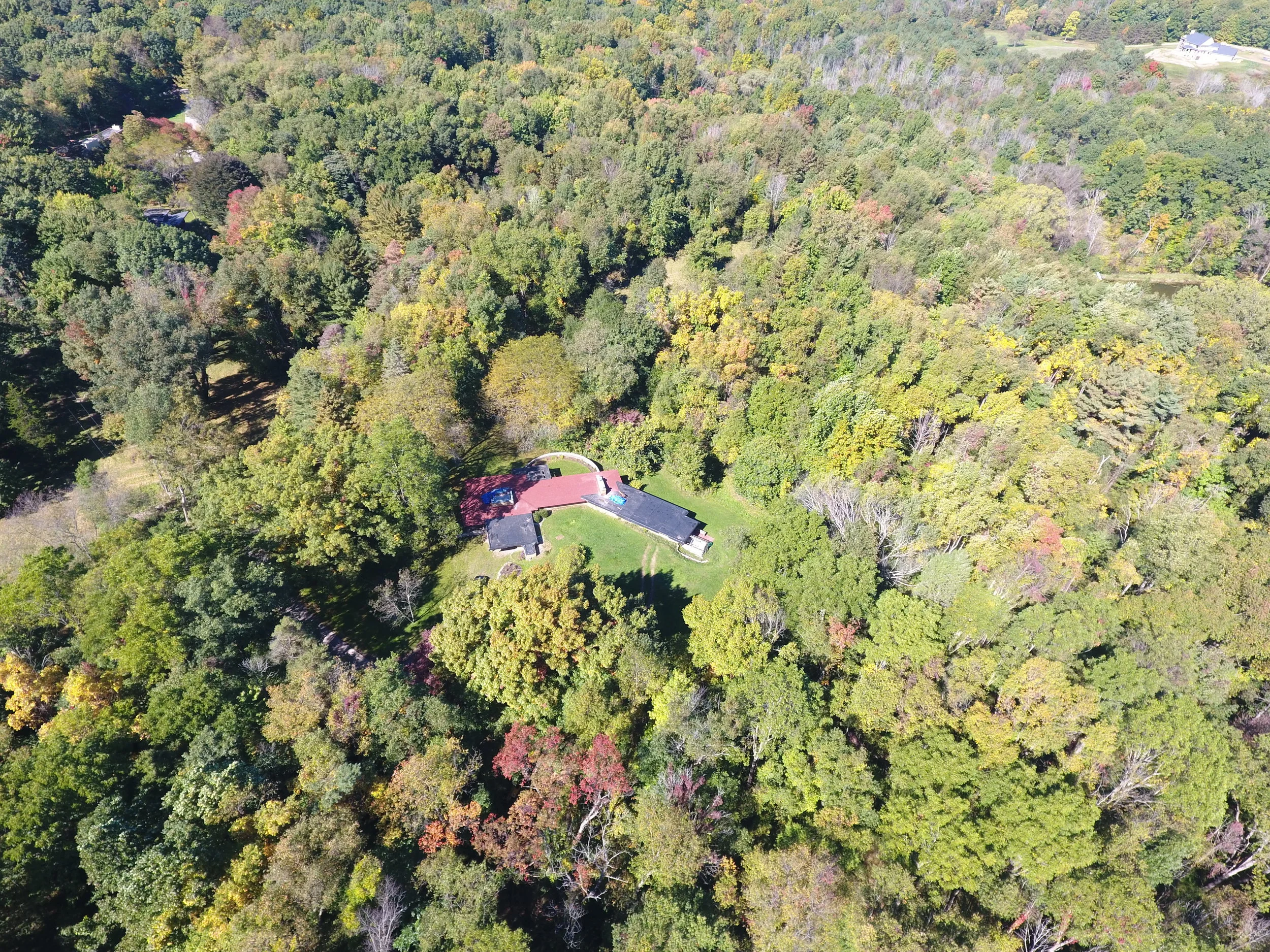 FLW_0004.JPG