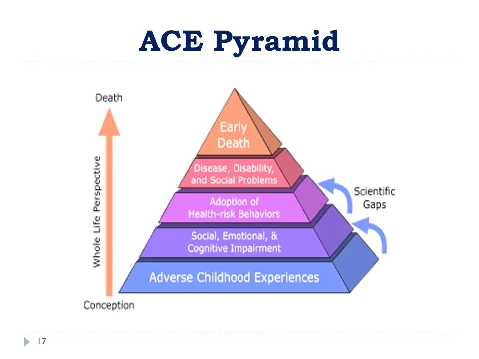 slide_17.jpg