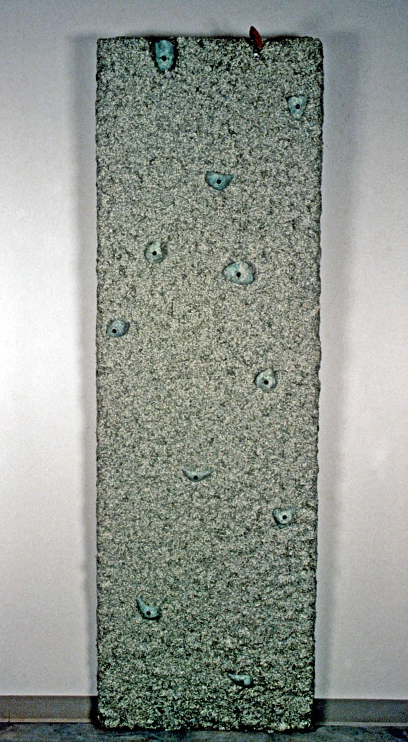   Extreme IV, 2001, 8’x 4’x 1’, shredded US currency, clay, climbing grips,      