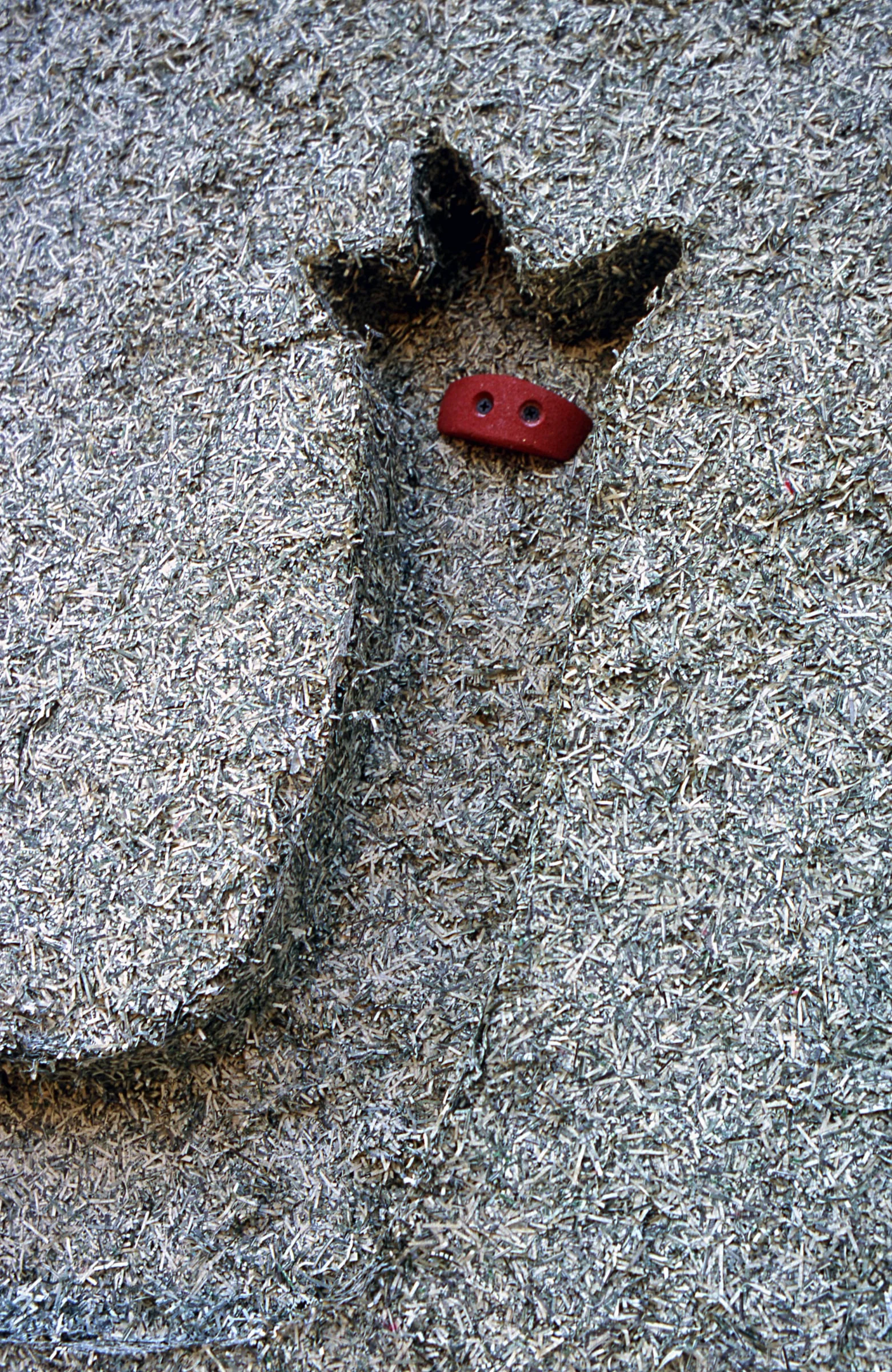   Niche , detail 