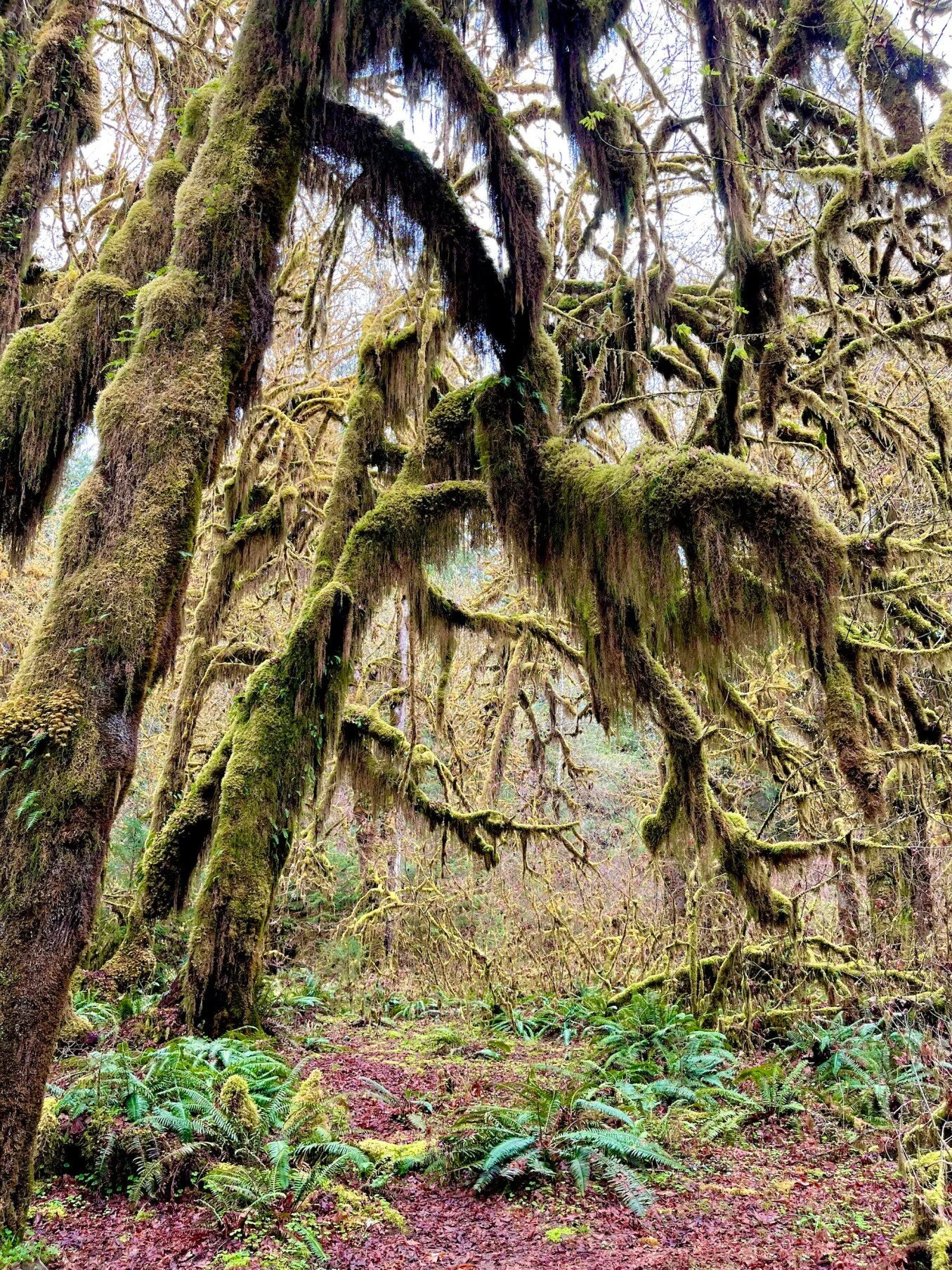 What Travel And Friendship Mean (To Me)