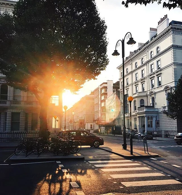 that morning light when spring is just around the corner ❤️