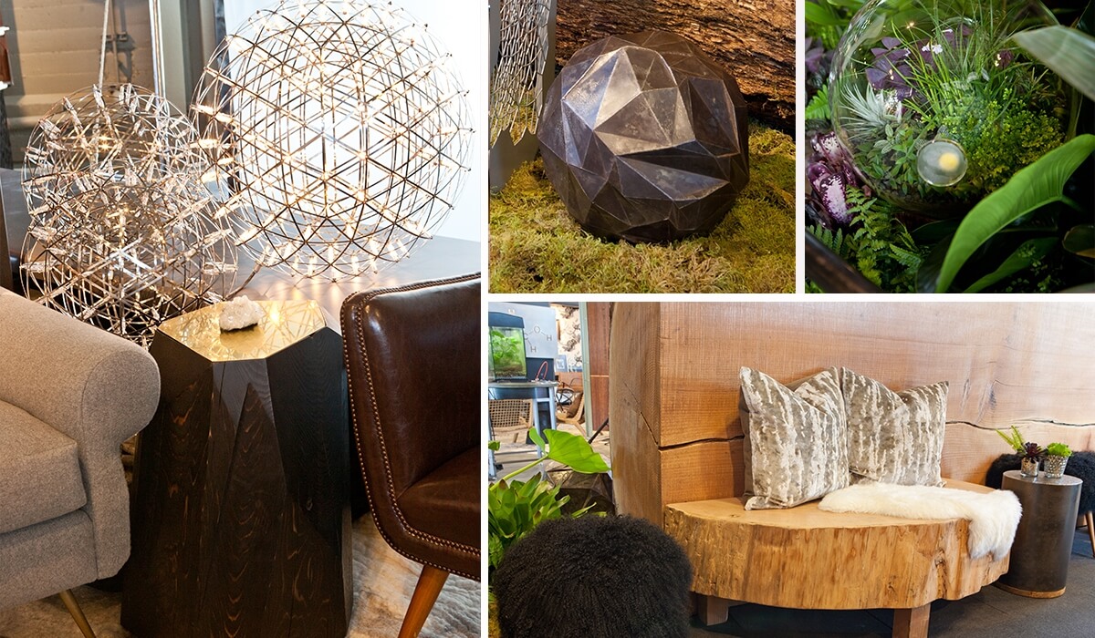 Seed of Life Exhibit Vignette; LOCZIdesign 2013