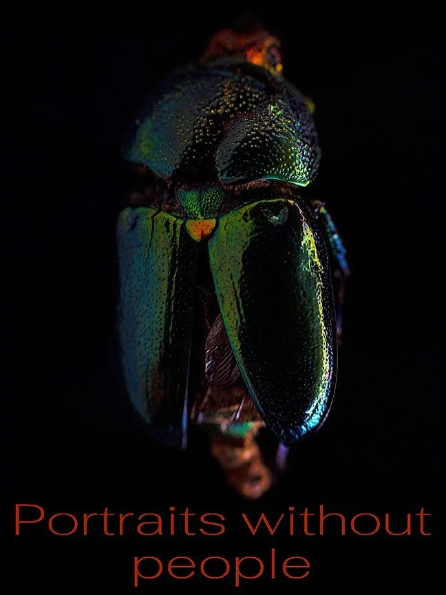 It&rsquo;s been over 10 years since I released any art into the world. Now, after years of making, I&rsquo;m ready to start sharing my new work. 
Please follow my new art Insta @marnyarothe to explore the work and hear their stories. 
.
#portraitswit