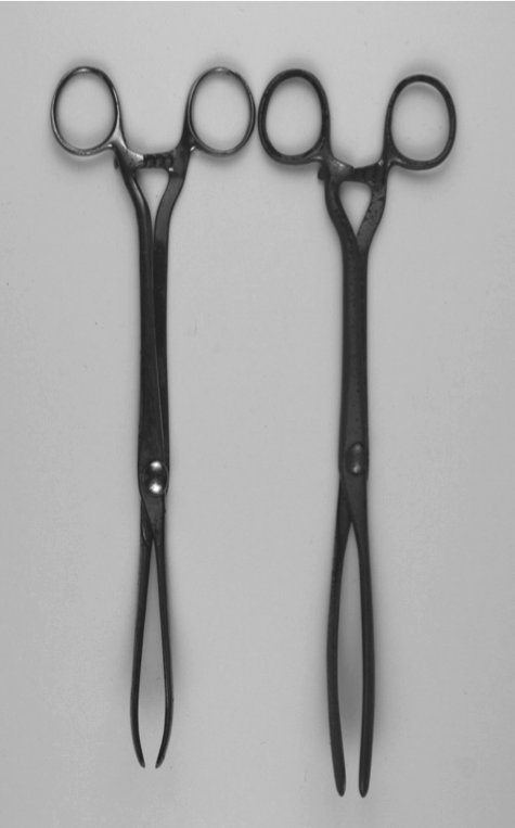 OBS-Champetier de Ribes’ Colpeurynter Introducing Forceps.png