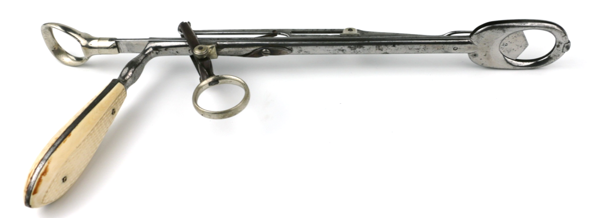 Ear, Nose, and Throat