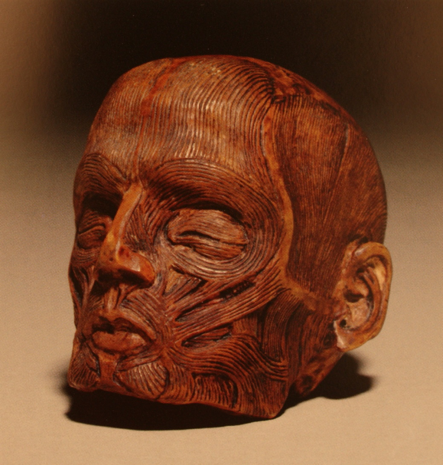 Surg -  Carved Boxwood Model of a Head.png