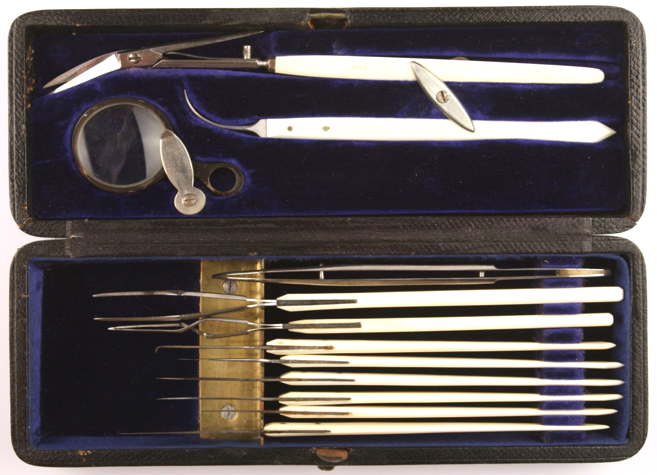 Botanical - Entomological Specimen Preparation Kit.png