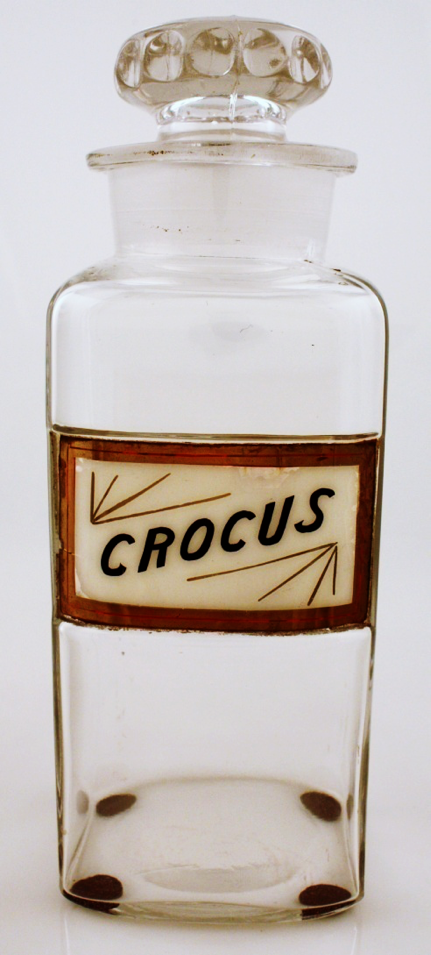 Apoth - Crocus Crocus sativus.png