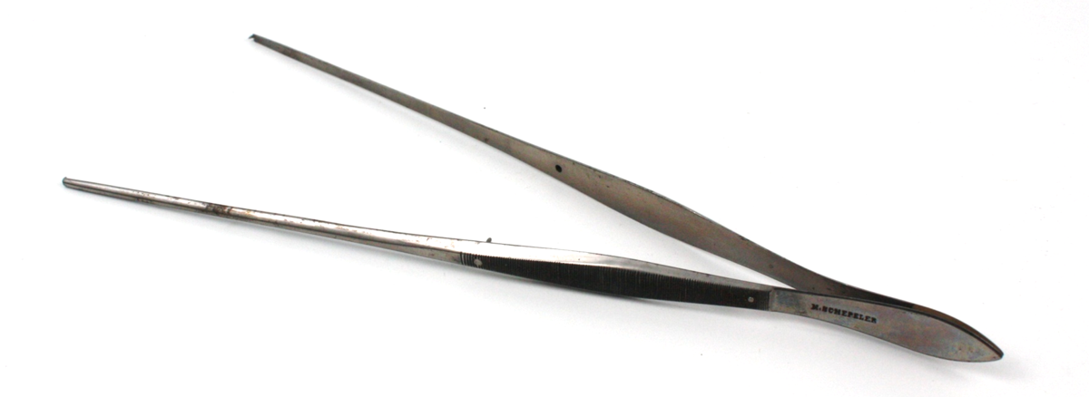 Forceps
