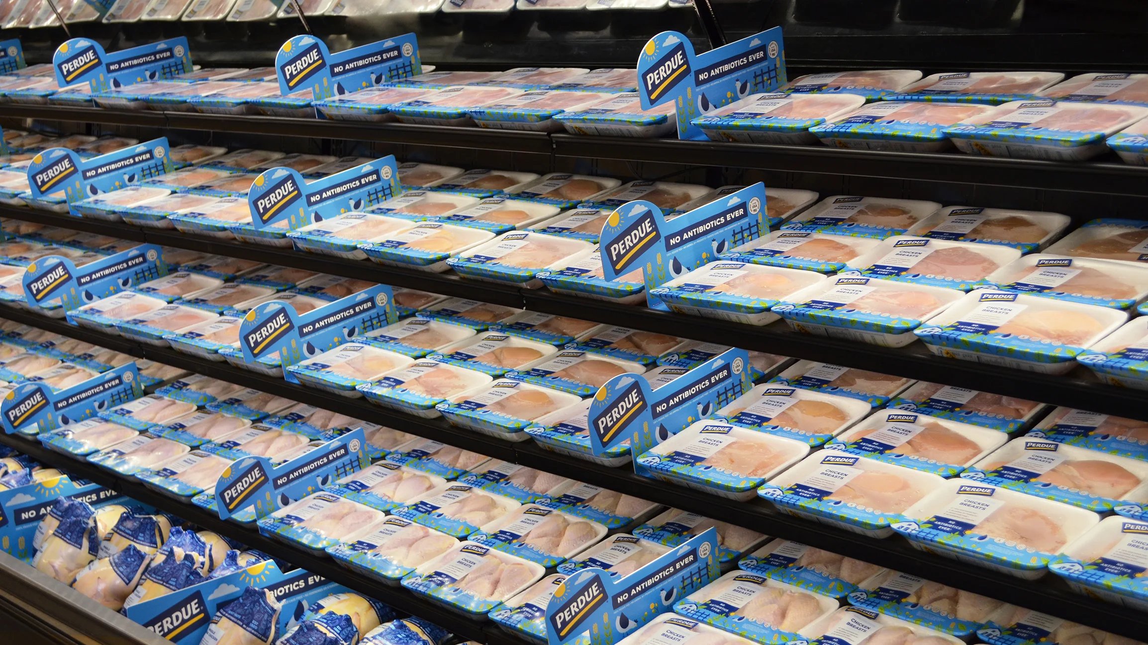 Perdue chicken packaging shelf display