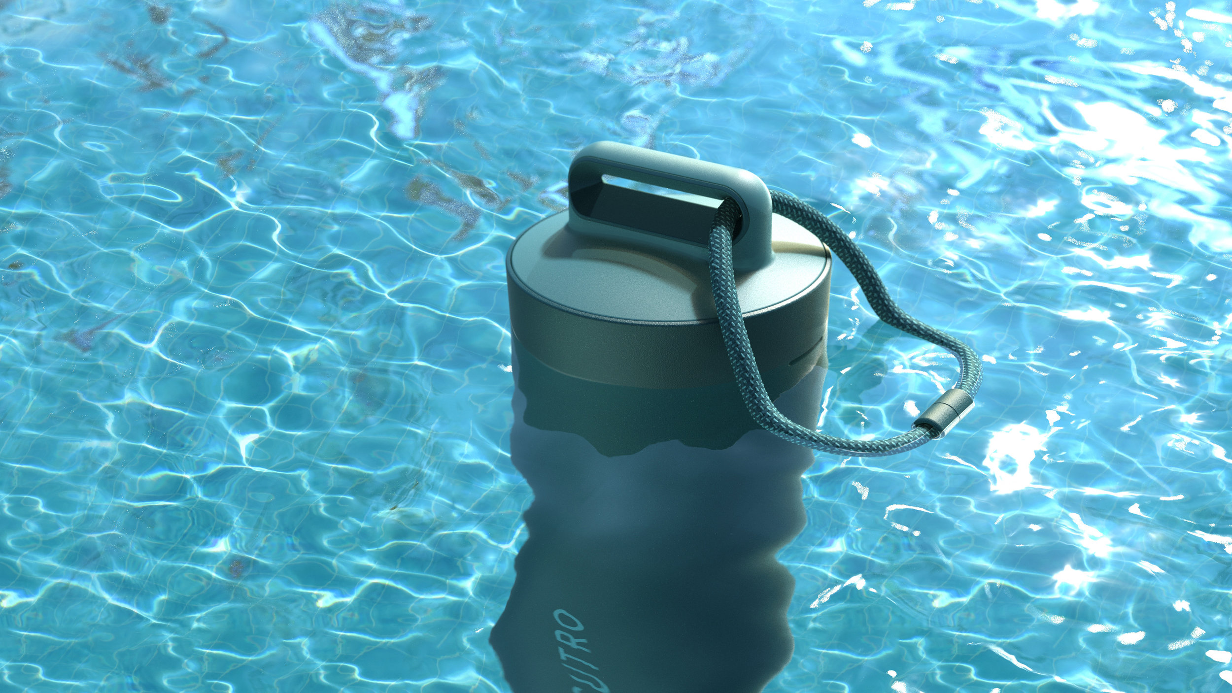 Sutro pool monitor in water