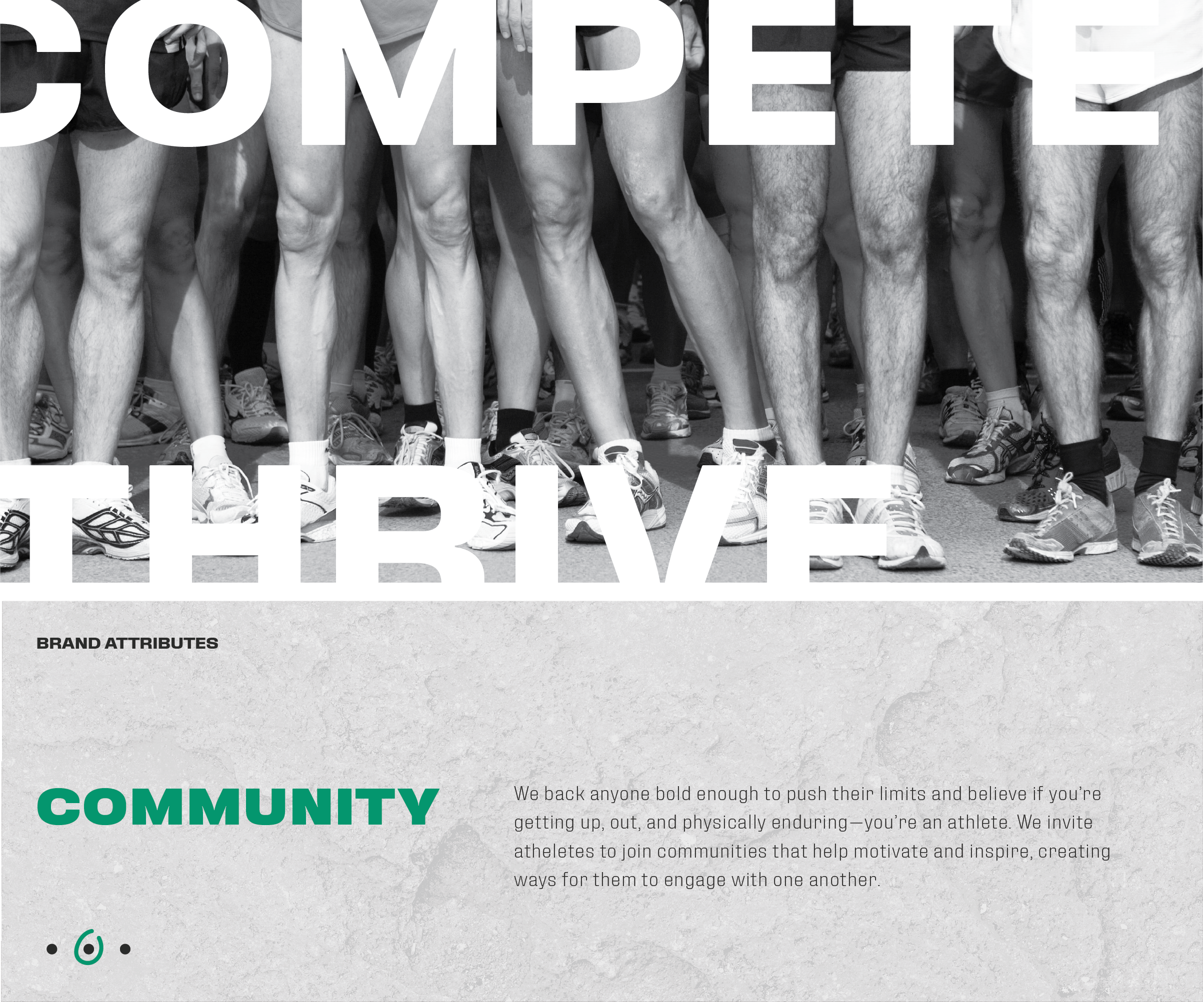 jaybird layout panels v3-07.png