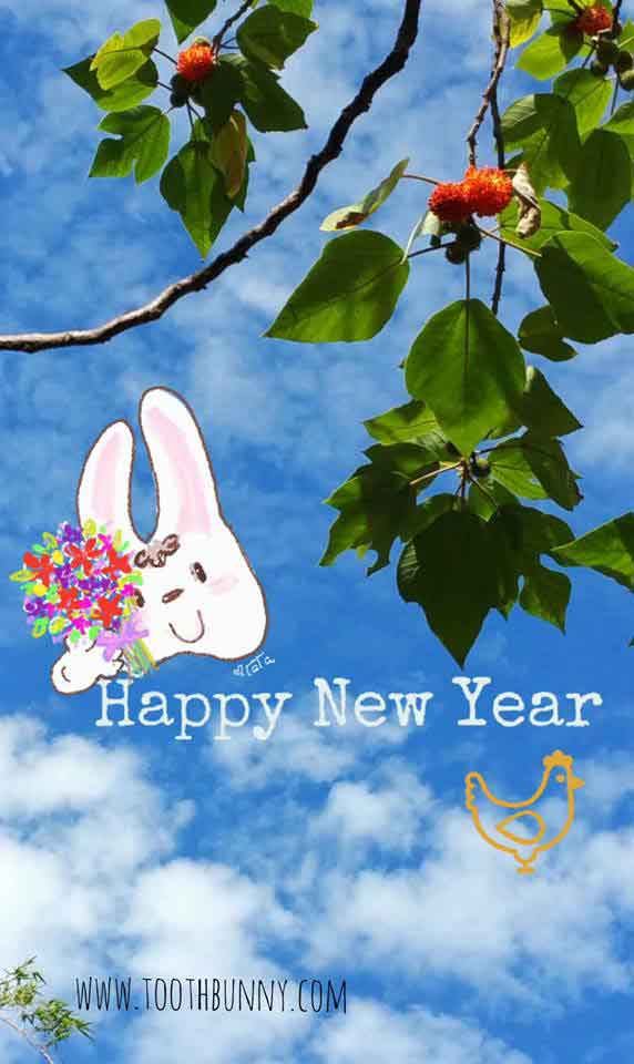 Happy New Year from Tooth Bunny and Friends