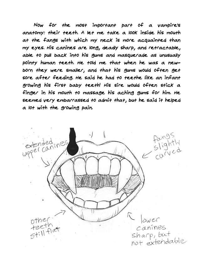 thebloodlettersjournals_sample4.jpg