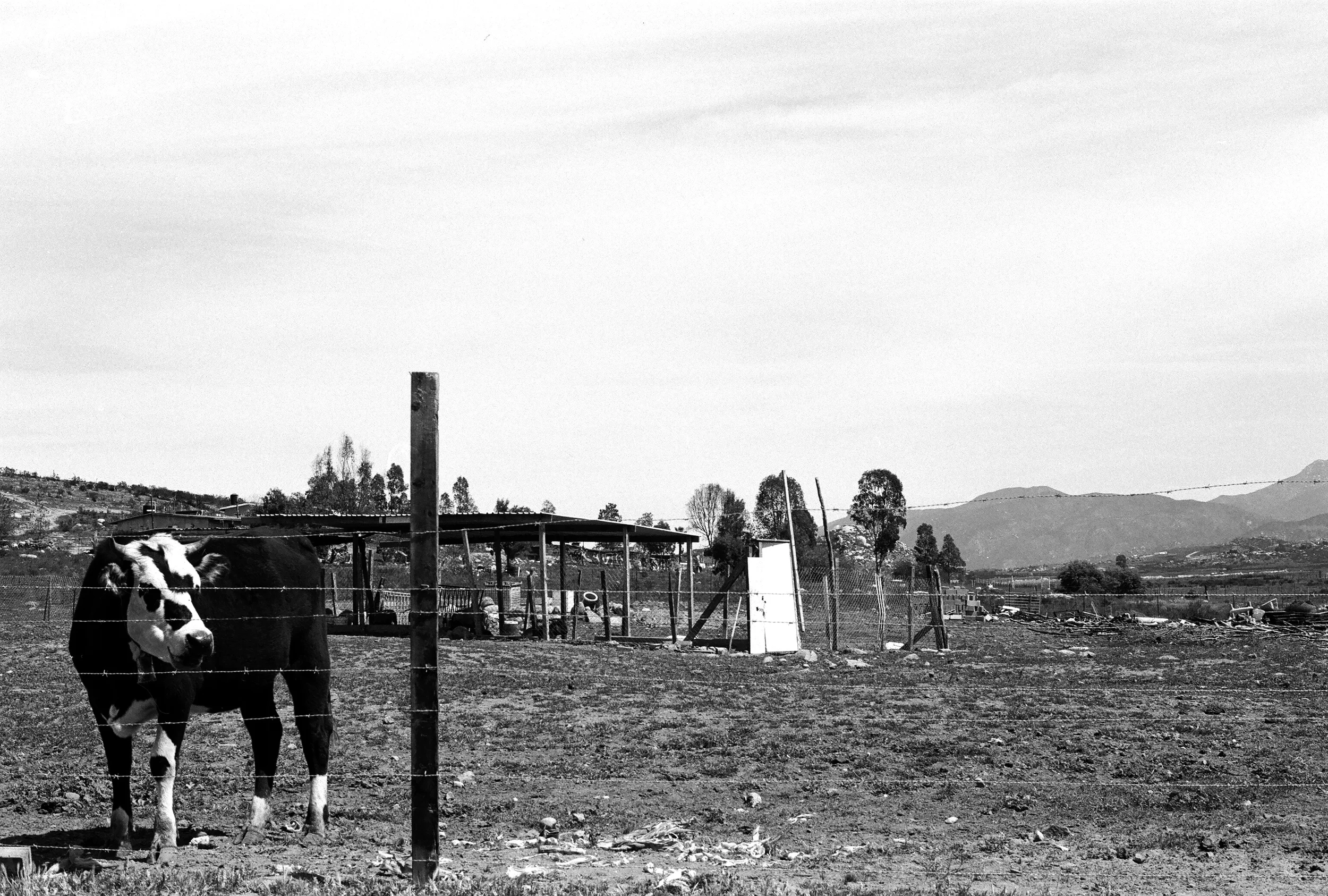 Cocina de Do ña Esthela. Valle de Guadalupe, Baja California, Mexico. 35mm.