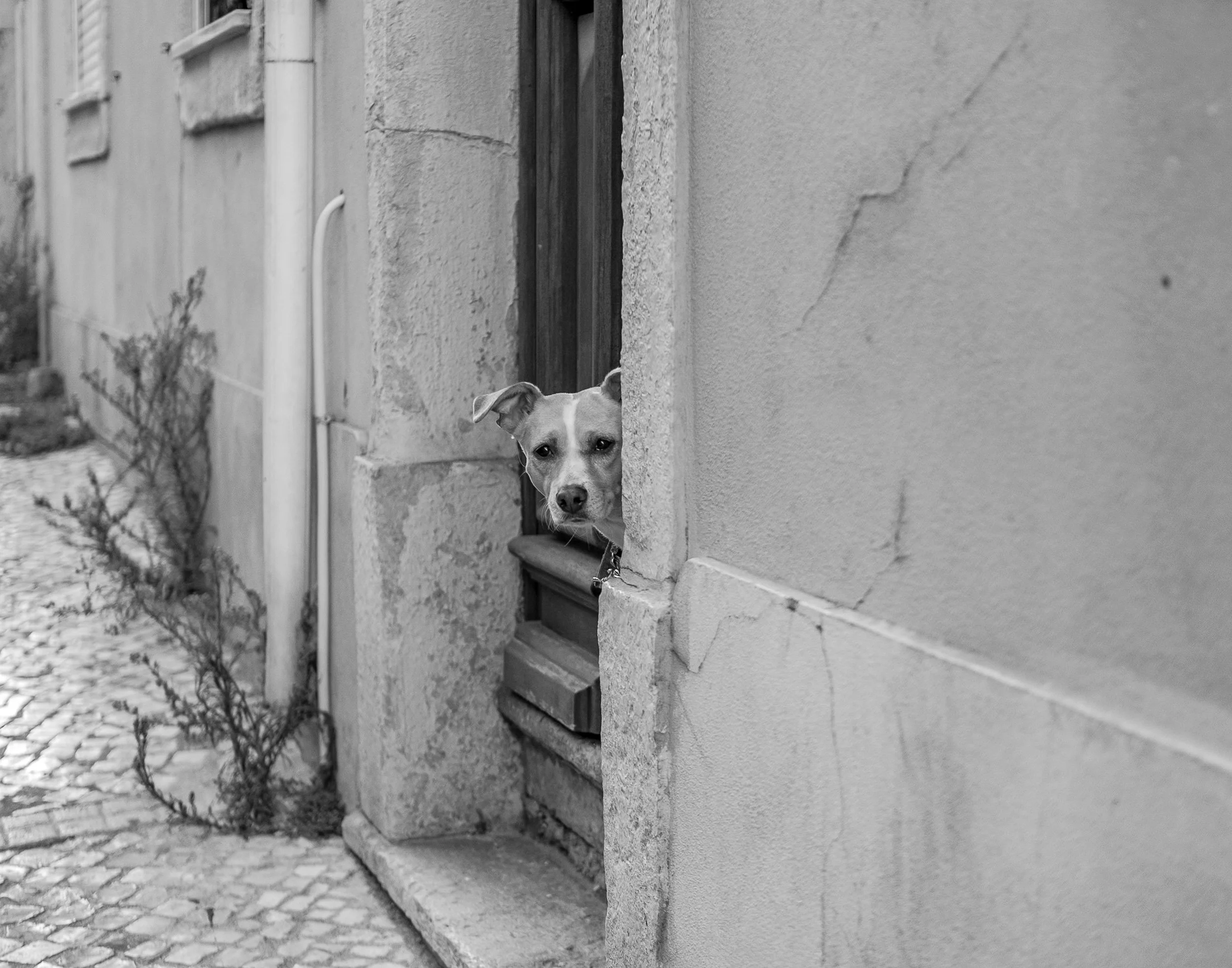 _STREET STUDIES_THE UNSEEN ARCHIVES_ VOL 1_10.jpg