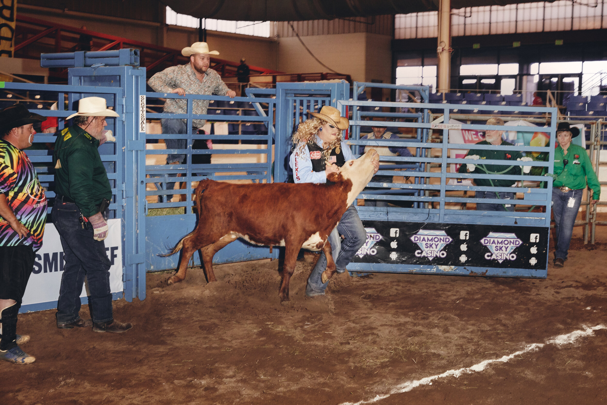  October 26, 2019 - Scottsdale, AZAlexis Cole wrestles a steer during the chute dogging section of the IGRA Finals. Alexis was 2nd runner up for 2020 Miss. IGRA. 