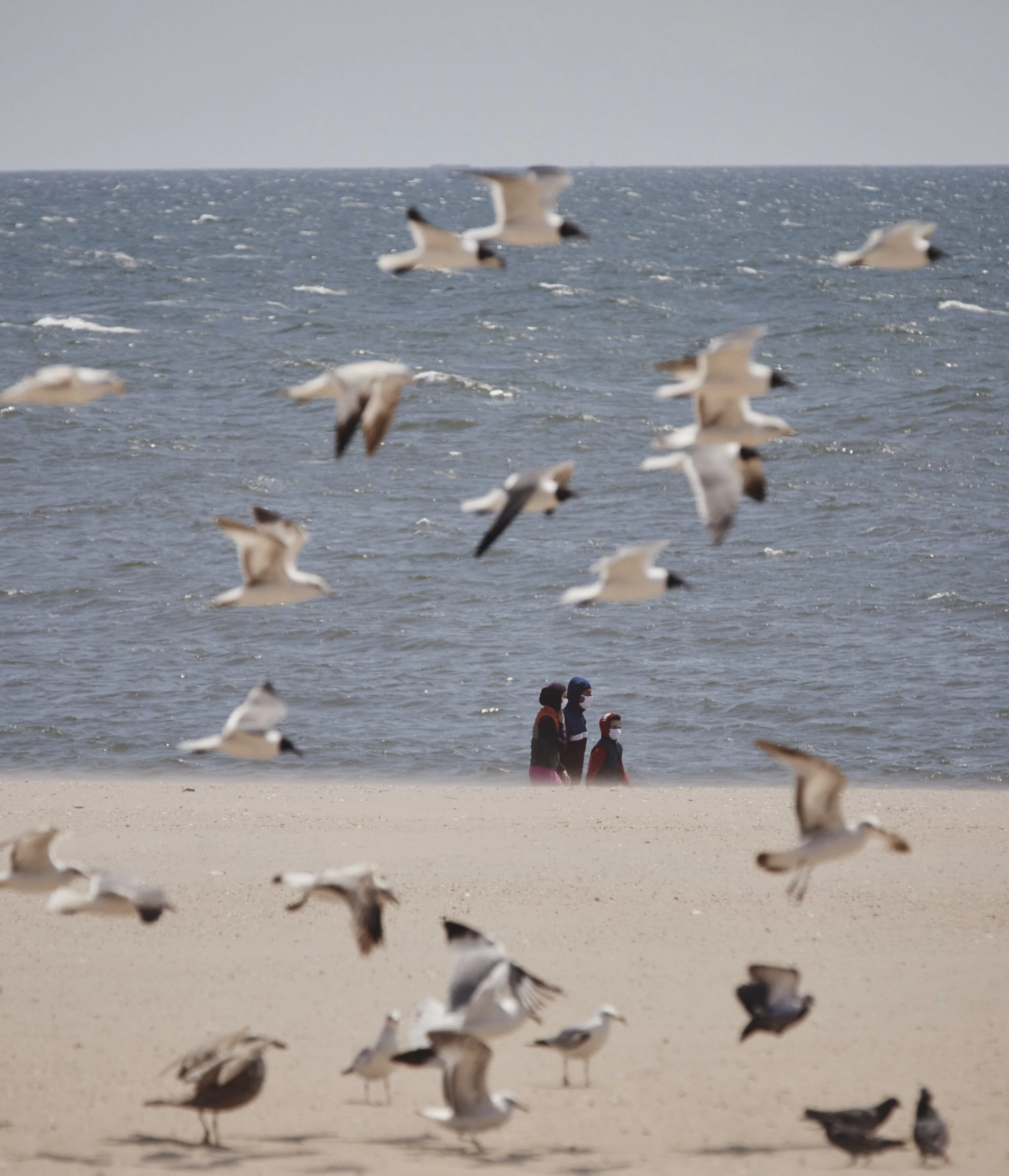 Seeking Comfort in Nature for The New York Times