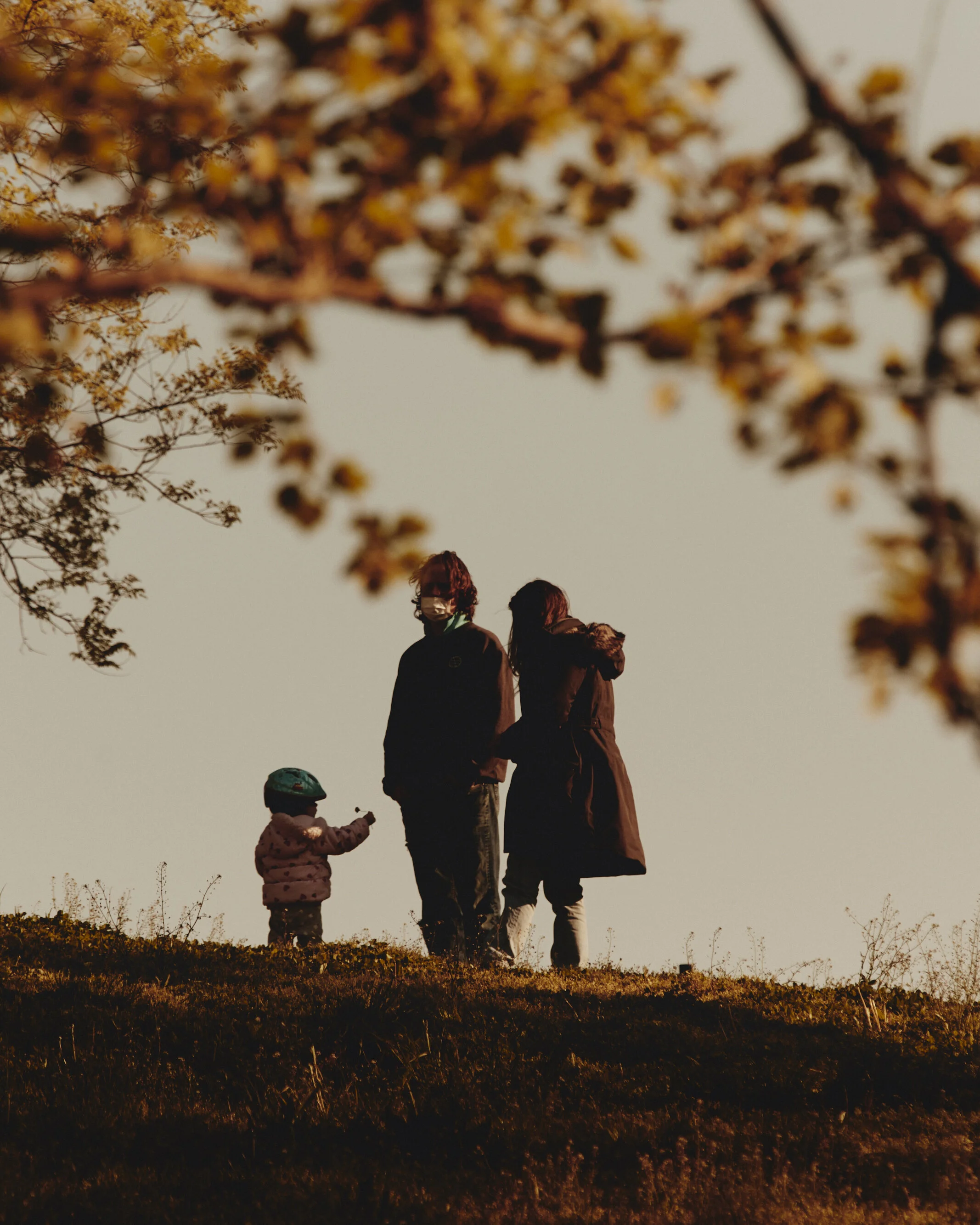 Seeking Comfort in Nature for The New York Times